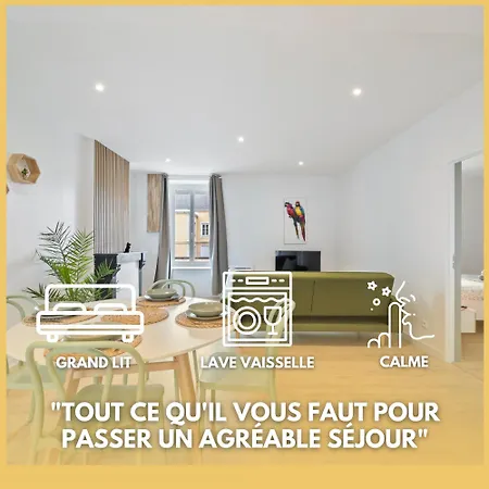 Lion King Appart 65 M2 Tout Inclus Chalon-sur-Saône Buitenkant foto